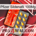 Pfizer Sildenafil 100Mg new01